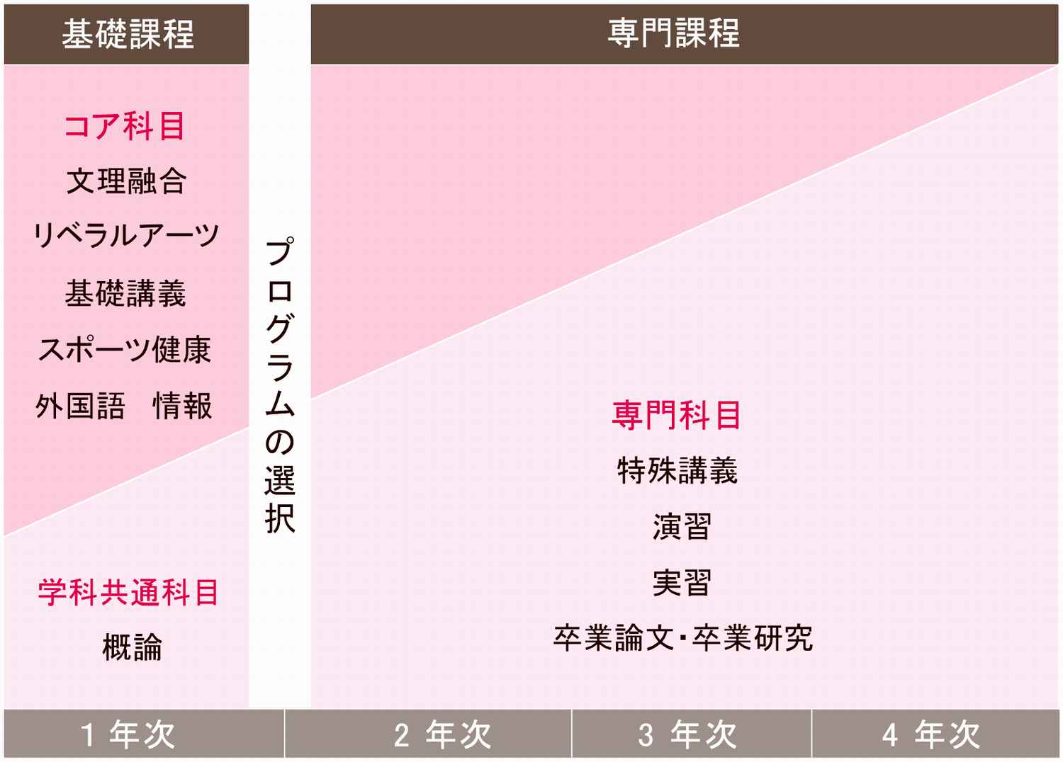 複数プログラム選択履修制度の画像